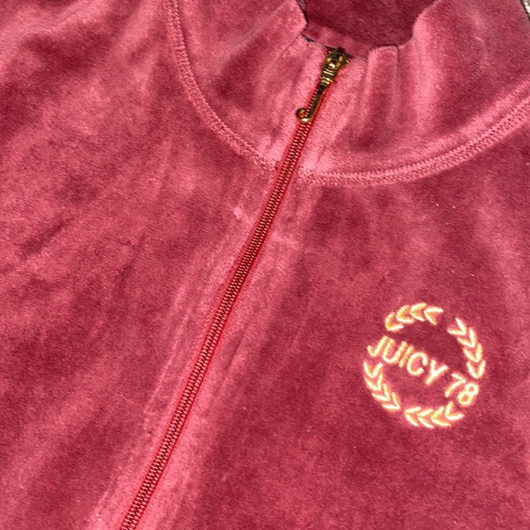 JUICY COUTURE Velvet Dress - Picture 3 of 4